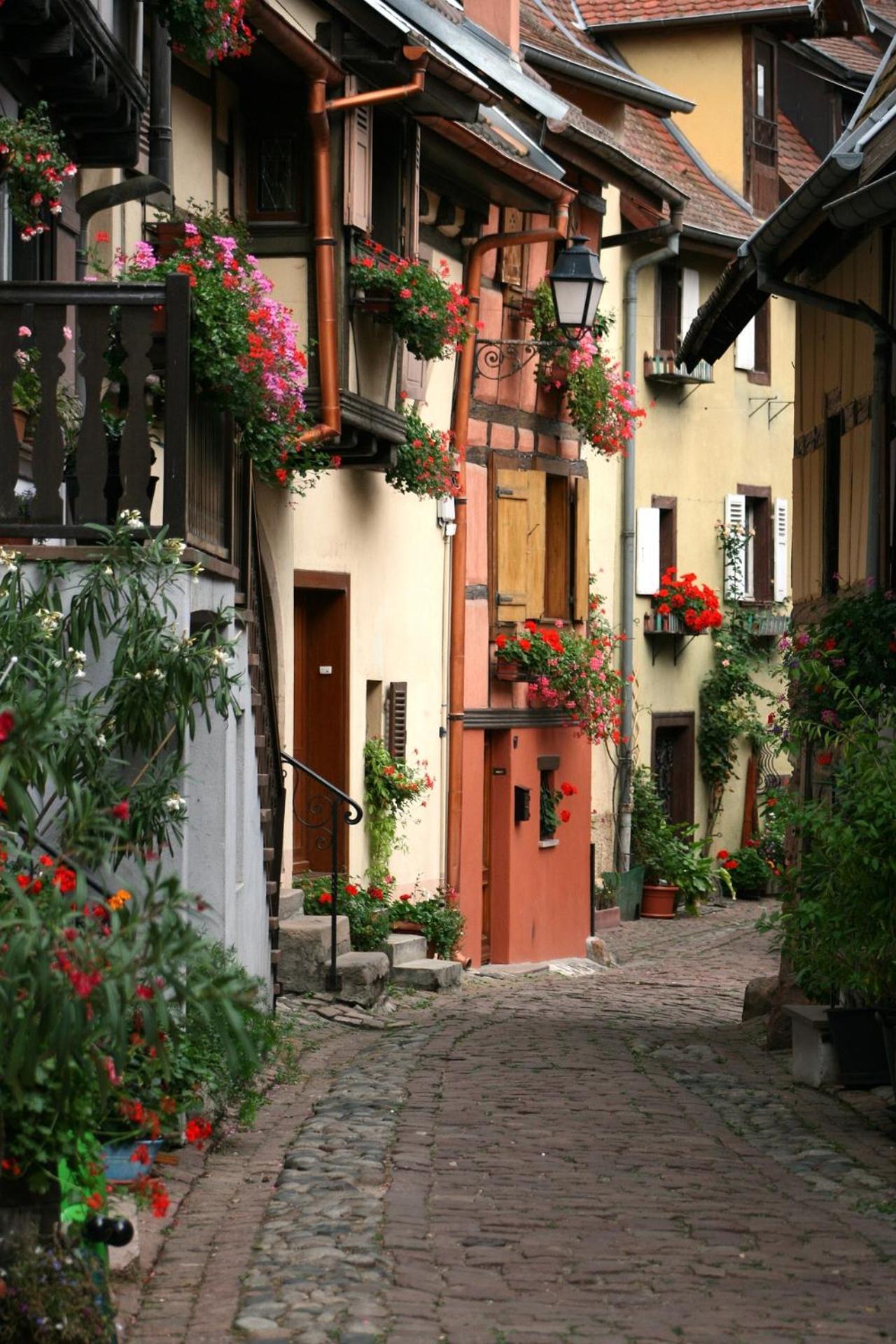 Gite Traditionnel Au Centre Historique D'Eguisheim Exteriér fotografie